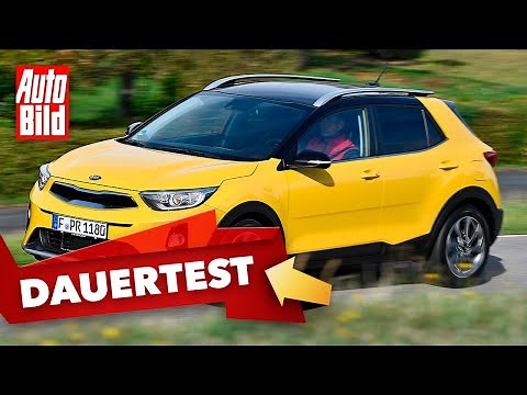 Kia Stonic (2020): Test - Long-term test - SUV - Technology - Info