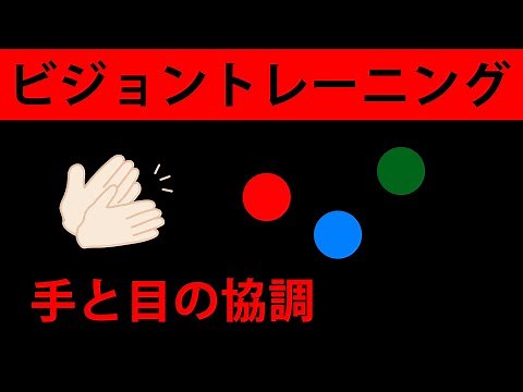 ビジョントレーニングVo.9（手と目の協調と認知機能）発達障害：見る力をトレーニング