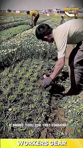 Portable Vegetable Harvesting Machine for Fast Crop Cutting and Efficient Farming in Agricultural