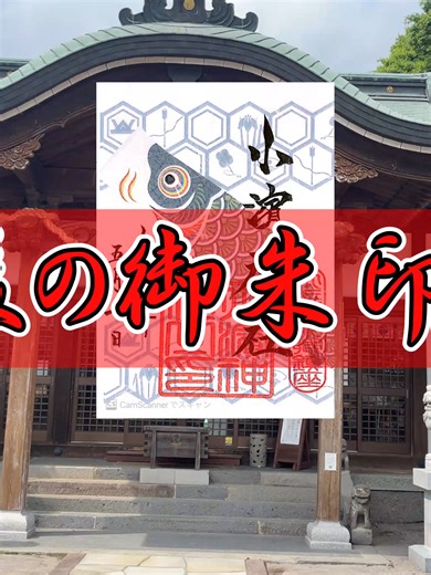 【癒やしの長崎】海と温泉を見守る「小浜神社」参歩。橘湾を望む絶景と静寂に包まれる旅 温泉の湯気が立ちのぼる、長崎県雲仙市小浜町。 今回は、温泉街の喧騒から少し離れた高台に鎮座する「小浜神社」を訪れました。 かつては「剣の宮」と呼ばれた歴史を持ち、戦国時代の動乱を乗り越え、今もなお地域の人々に愛されている場所です。 鳥居越しに眺める橘湾の青さと、境内の厳かな空気のコントラストは必見です。 【見どころ】 ・橘湾を一望できる参道からの絶景 ・温泉街の守護神としての重厚な佇まい ・小浜温泉の歴史を感じる石造物の数々 参拝の後は、近くの日本一長い足湯「ほっとふっと105」でゆっくりするのもおすすめですよ！ #小浜神社 #小浜温泉 #長崎観光 #神社巡り #雲仙市