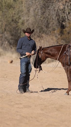 Downunder Horsemanship on Instagram: "Desensitizing With a Stock Whip, Part 1 – Introducing the Stock Whip on the Ground Professional Clinician Jeff Davis shares the steps we take to desensitize our horses to stock whips. We introduce the stock whip to all of our training horses as another way to desensitize them to loud noises. We start working on the stock whip after the horse is desensitized to the stick and string. #applythemethod #downunderhorsemanship #clintonanderson #stockwhip #horsetrai