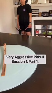 61K views · 1.4K reactions | Aggressive pittie > in control. Focus on...