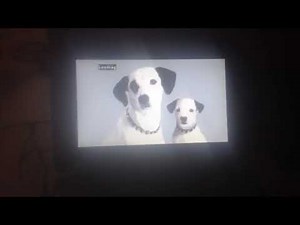 Opening to Cartoon Craze Presents: All Stars Volume 2 2005 DVD