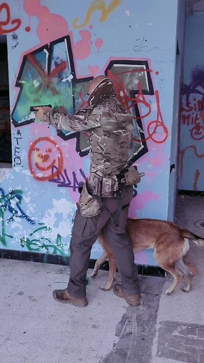 #k9 #k9handler #k9trainer #k9training #k9dogs | Werwolf.K9