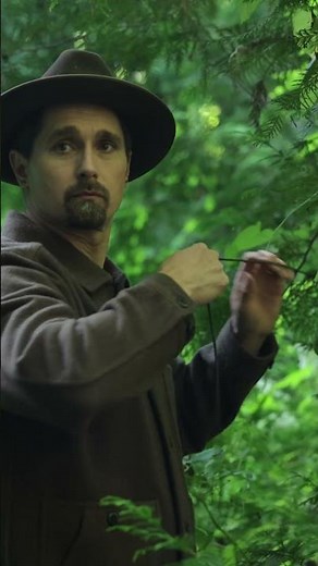 Storm-Ready Shelter: The Guide Tarp in Real Weather