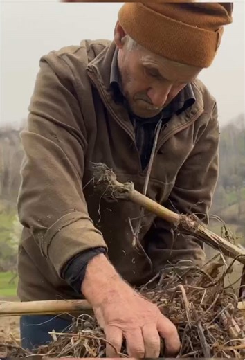 Hard life elderly couple in village life #villagelife #country #mountainlife #Vlog