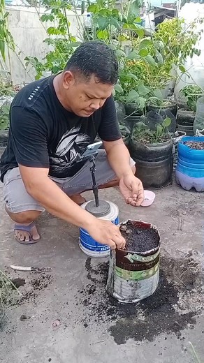 Behind the scene Menanam bawang merah | Nursan Garden