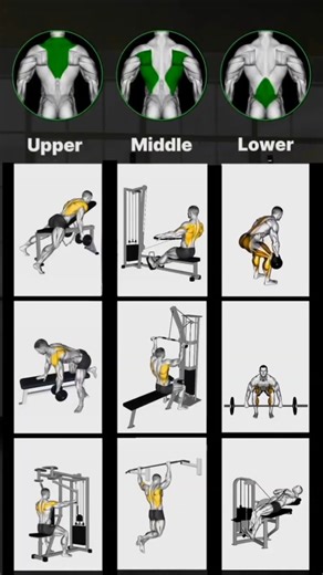 EASY BACK WORKOUT #backworkout #backday #backgains #latsonlats #backpain #backworkoutroutine