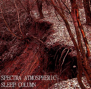 Spectra Atmospheric / Sleep Column - Split
