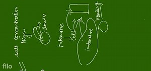 A person takes concentrated solution of salt. After sometime he... | Filo