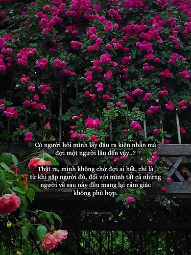 #sadquotes #tamtrang #captions #fyp