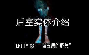后室实体介绍Entity 18 - “第五层的野兽”