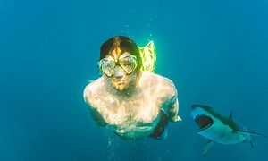 3 Massachusetts Beaches With The Most Shark Attacks