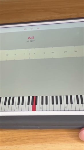 Electronic Tuning Device for Pianos #pianotechnician #pianotuner #pianotuning