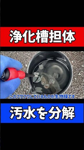 【微生物の住処＝担体】浄化槽で汚水をきれいにする仕組み