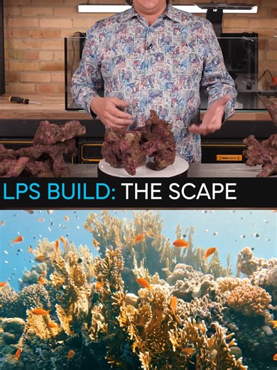 Creating an Stunning Aquascape with Ecoscape Rock