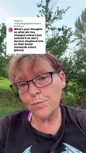 Understanding AKC Registries and German Shepherd Breeding