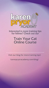 36 reactions | In the world of pet companionship, cats often march to...