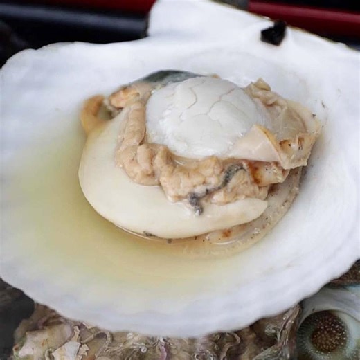 【絶対うまい】築地の新鮮な貝を酒蒸しにしてみた / Steamed Shellfish レシピはこちら！ https://www.buzzfeed.com/jp/redkikuchi/steamed-shellfish | Tasty Japan