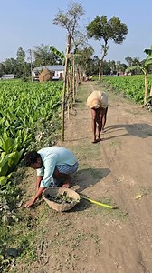 159K views · 522 reactions | LOL Academy on Reels | Facebook