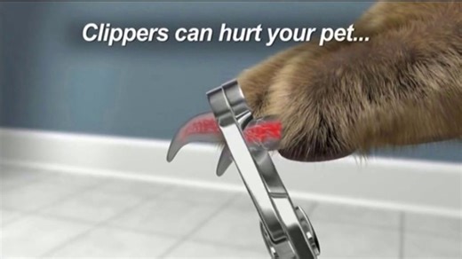 Paw Perfect TV Spot, 'Simple Solution'