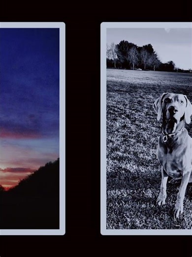 Canon m50mk2 with kit lens.