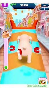 🐾 Pet Run 3 Minutes Gameplay | Endless Fun & Cute Adventure! 😍🙏😊😍✨#gaming #petrungame #runninggames