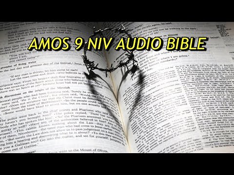 AMOS 9 NIV AUDIO BIBLE(with text)