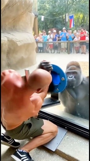 The competition of arm wrestling between a strong man and a grizzly bear.