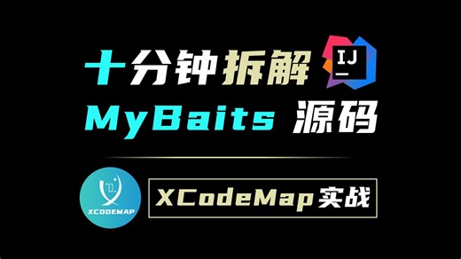 10分钟搞定Mybatis源码 【全网首个JAVA原生TTD调试工具 XCodeMap实战】