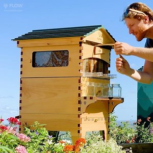 If you are you thinking about getting started beekeeping but don’t know where to begin, don’t worry we are here to help. Beekeeping is such a wonderful hobby, and with the promise of spring just around the corner 🌻🐝 now is the perfect time to get set up in the southern hemisphere. Please PM us if you have any questions, we are here to help :) | Flow Hive