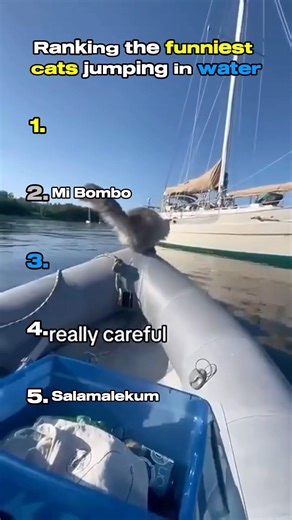 Ranking The Funniest Cats Jumping in Water 💦😹#shorts