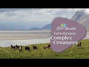 Vertebrates: Complex Creatures | Kingdoms and Classification | The Good and the Beautiful