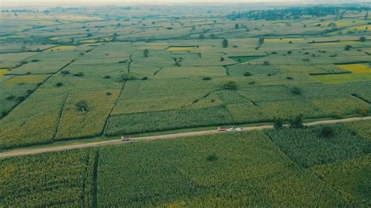 28 reactions | Unlock Ethiopia’s agricultural potential — invest in fertile land, dynamic markets, and strong government support for sustainable growth. Join the agribusiness boom in #Ethiopia! #InvestEthiopia #Agribusiness Biruk Mekonnen Office of the Prime Minister-Ethiopia The Ministry of Foreign Affairs of Ethiopia MFAEthiopia Amharic የውጭ ጉዳይ ሚኒስቴር Lalisa Berhanu British Embassy, Addis Ababa - UK in Ethiopia | Embassy of Ethiopia, London | Facebook