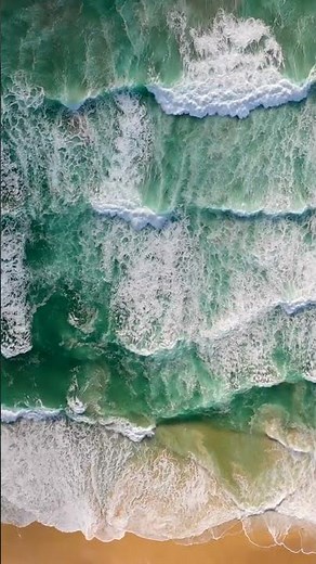 El OCÉANO ÍNDICO en 1 MINUTO 🐠 #SHORTS