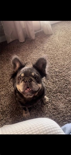 Our problem child 😩🥰😅