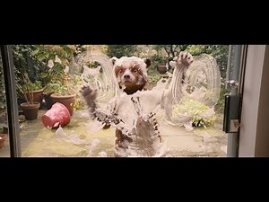 紳士だけどおっちょこちょいなパディントンが帰ってくる！『パディントン２』日本版予告編