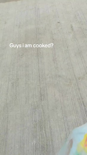 Exploring the Lepidodendron Tree Species