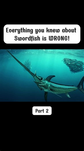Swordfish Facts You Won't Believe