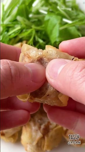 How to Make Dumplings with an Ice Tray