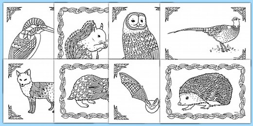 British Wildlife Mindfulness Colouring Sheets