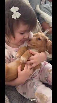 Babies & Dogs: The Cutest Duo Ever! 🐶👶