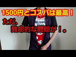 ワークマンのMOVE ACTIVEサイクルジャージ(フルオープンタイプ1500円)をレビュー