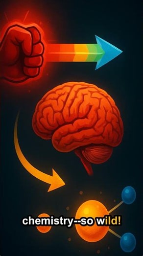 Colors Affect How You Feel!