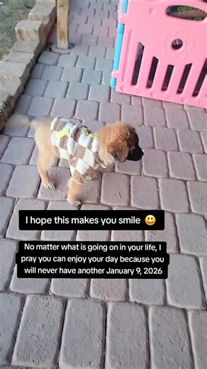 I know life is difficult but we need to have faith and trust.