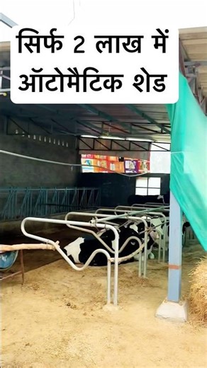 Modern style shed built for just 2 lakhs. How to make a small modern shed for HF | #shorts