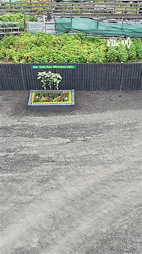 11K views · 83 reactions | As part of National Allotments Week, today...