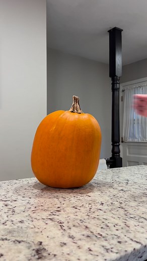 1.2M views · 10K reactions | Canning pumpkin purée #canningseason #canningandpreserving | Cara Jones | Facebook