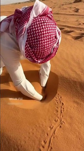 If you find such a fish in the desert, you should sell it.