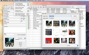 Best photo and video metadata editor